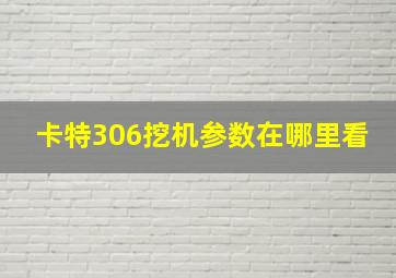 卡特306挖机参数在哪里看