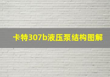 卡特307b液压泵结构图解