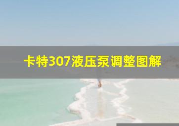 卡特307液压泵调整图解