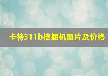 卡特311b挖掘机图片及价格