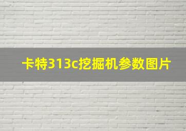 卡特313c挖掘机参数图片