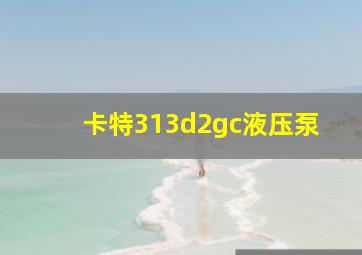 卡特313d2gc液压泵