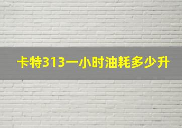 卡特313一小时油耗多少升