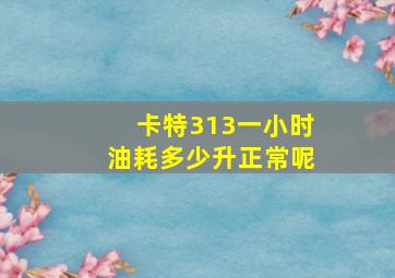 卡特313一小时油耗多少升正常呢