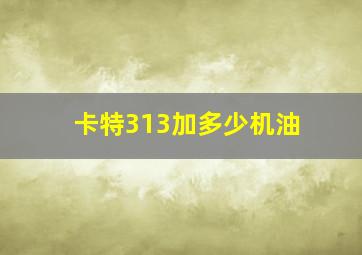 卡特313加多少机油