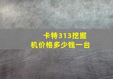 卡特313挖掘机价格多少钱一台