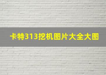 卡特313挖机图片大全大图