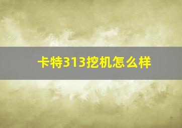 卡特313挖机怎么样