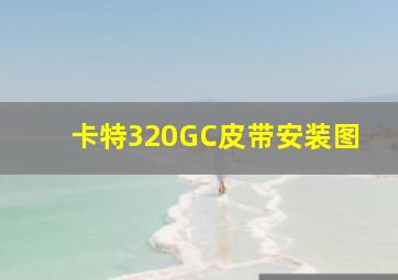 卡特320GC皮带安装图