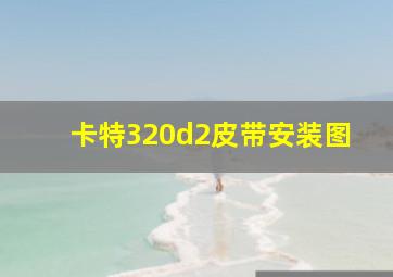 卡特320d2皮带安装图