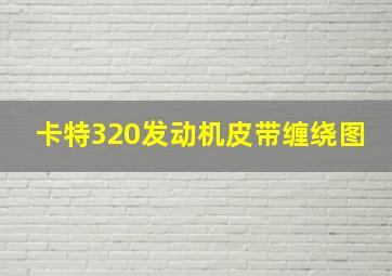 卡特320发动机皮带缠绕图