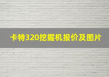 卡特320挖掘机报价及图片