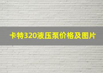 卡特320液压泵价格及图片