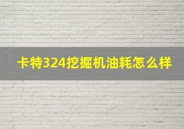 卡特324挖掘机油耗怎么样