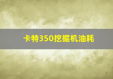 卡特350挖掘机油耗