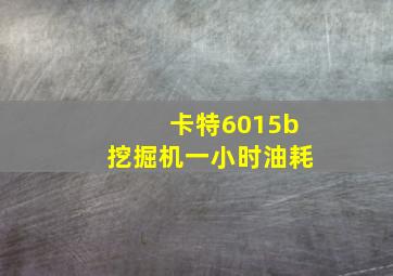 卡特6015b挖掘机一小时油耗