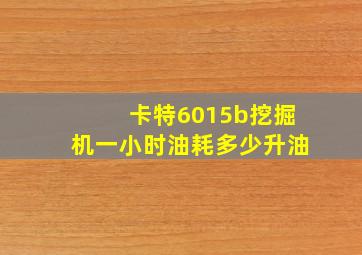 卡特6015b挖掘机一小时油耗多少升油