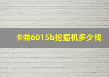 卡特6015b挖掘机多少钱