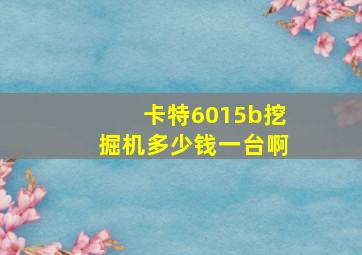 卡特6015b挖掘机多少钱一台啊