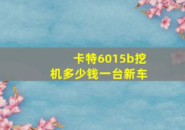 卡特6015b挖机多少钱一台新车