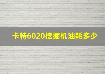 卡特6020挖掘机油耗多少