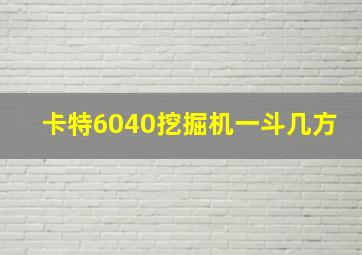 卡特6040挖掘机一斗几方