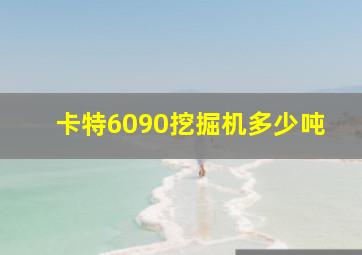 卡特6090挖掘机多少吨