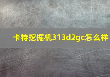 卡特挖掘机313d2gc怎么样