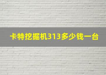 卡特挖掘机313多少钱一台