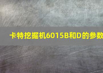 卡特挖掘机6015B和D的参数