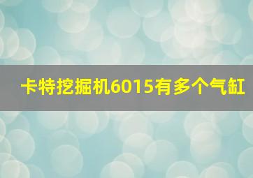 卡特挖掘机6015有多个气缸