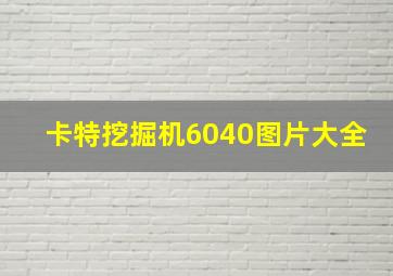 卡特挖掘机6040图片大全