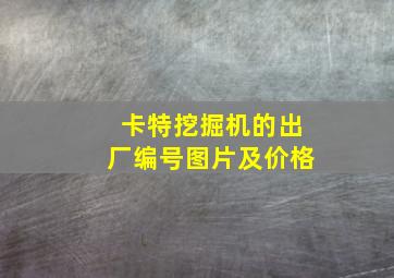 卡特挖掘机的出厂编号图片及价格