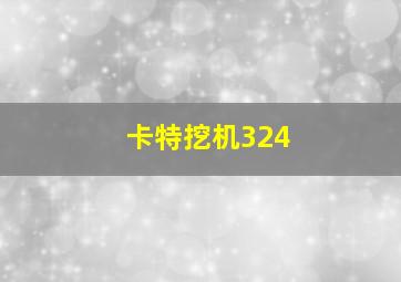 卡特挖机324