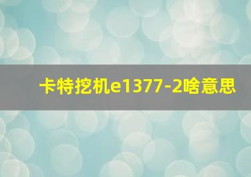 卡特挖机e1377-2啥意思