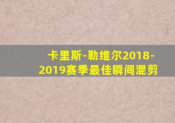 卡里斯-勒维尔2018-2019赛季最佳瞬间混剪