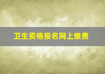 卫生资格报名网上缴费