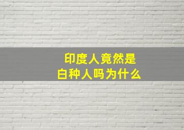 印度人竟然是白种人吗为什么