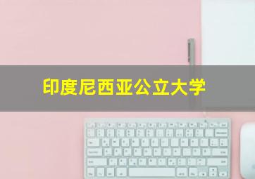 印度尼西亚公立大学