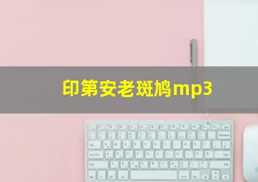 印第安老斑鸠mp3