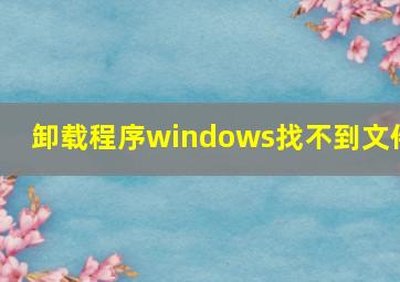 卸载程序windows找不到文件