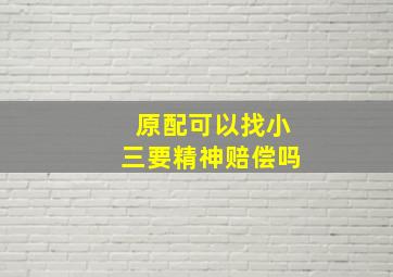 原配可以找小三要精神赔偿吗