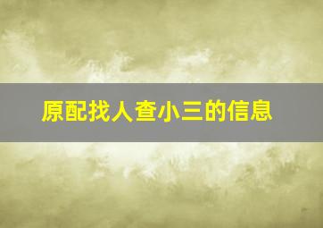 原配找人查小三的信息