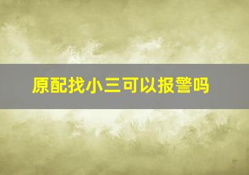 原配找小三可以报警吗