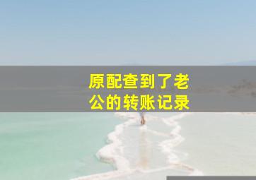 原配查到了老公的转账记录