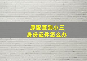 原配查到小三身份证件怎么办