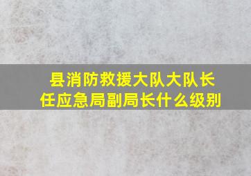 县消防救援大队大队长任应急局副局长什么级别