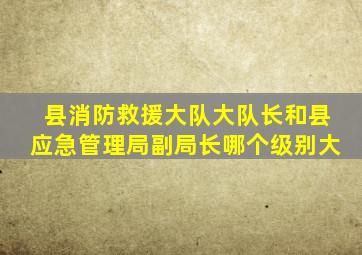 县消防救援大队大队长和县应急管理局副局长哪个级别大