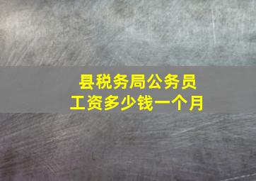 县税务局公务员工资多少钱一个月