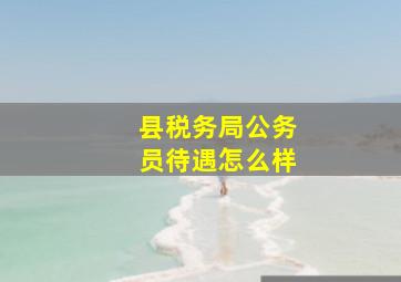 县税务局公务员待遇怎么样